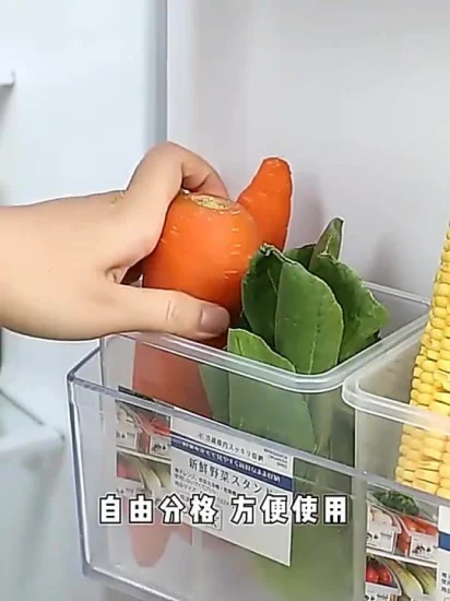 Neue Küchenzubehör-Kühlschrank-Aufbewahrungsboxen für Lebensmittel